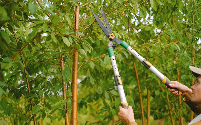 Tree trimming in Tunas, MO